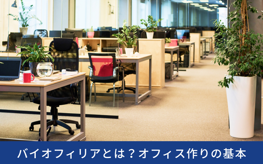 バイオフィリアとは？オフィス作りの基本