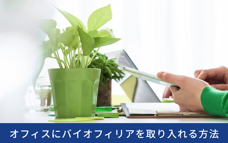 オフィスにバイオフィリアを取り入れる方法