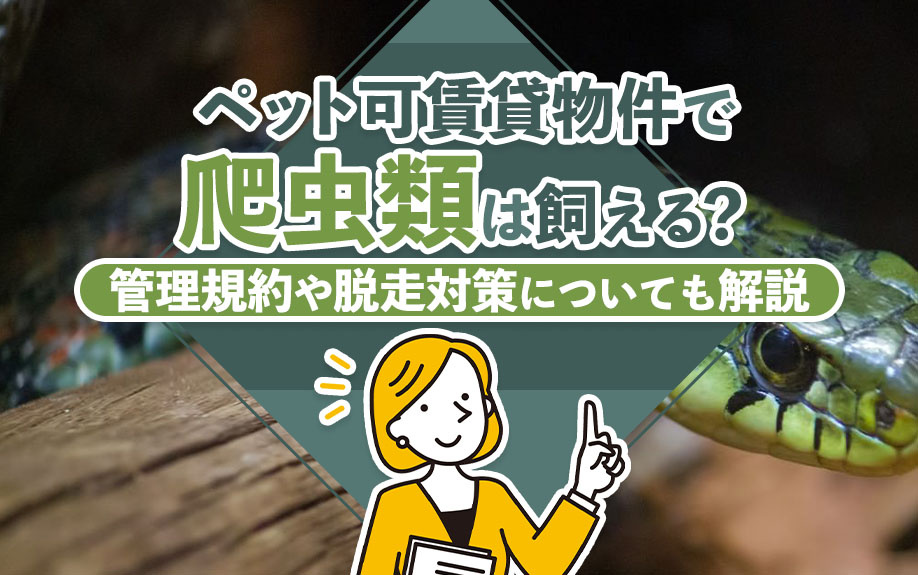 ペット可賃貸物件で爬虫類は飼える？管理規約や脱走対策についても解説