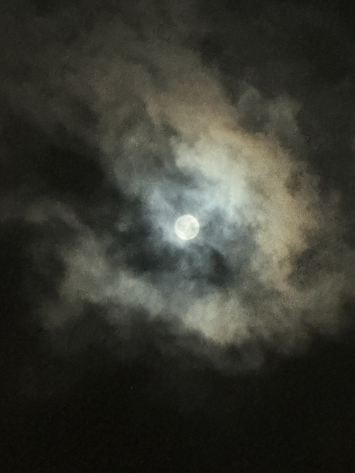 幻想的な十五夜の月の画像