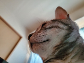 ハロウィンの季節♪の画像