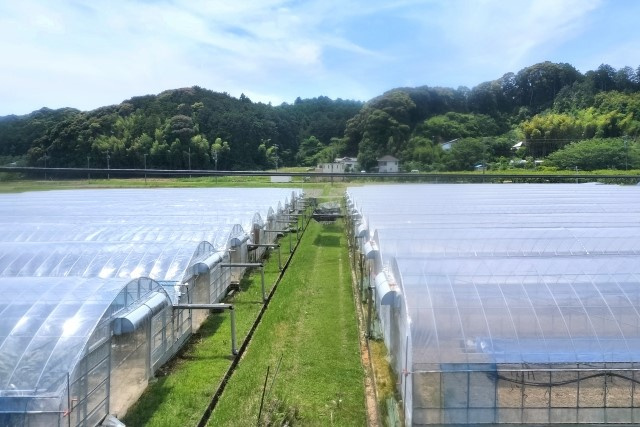 農地の相続税はどう決まるのか？評価区分や計算方法も解説の画像