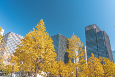 規制は脅威か追い風か？――高市政権で注目の規制が東京都内の外国人不動産購入に与える影響を投資家目線で解説の画像