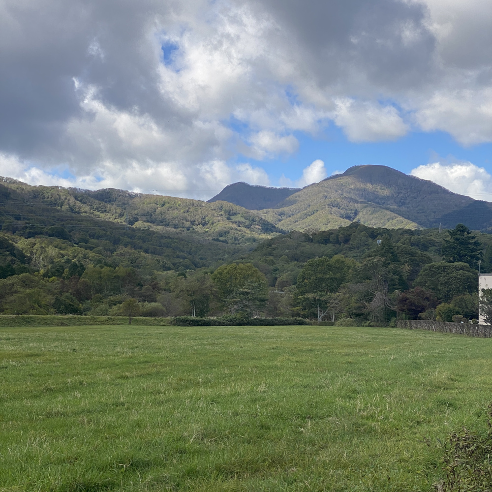 秋ですね！の画像