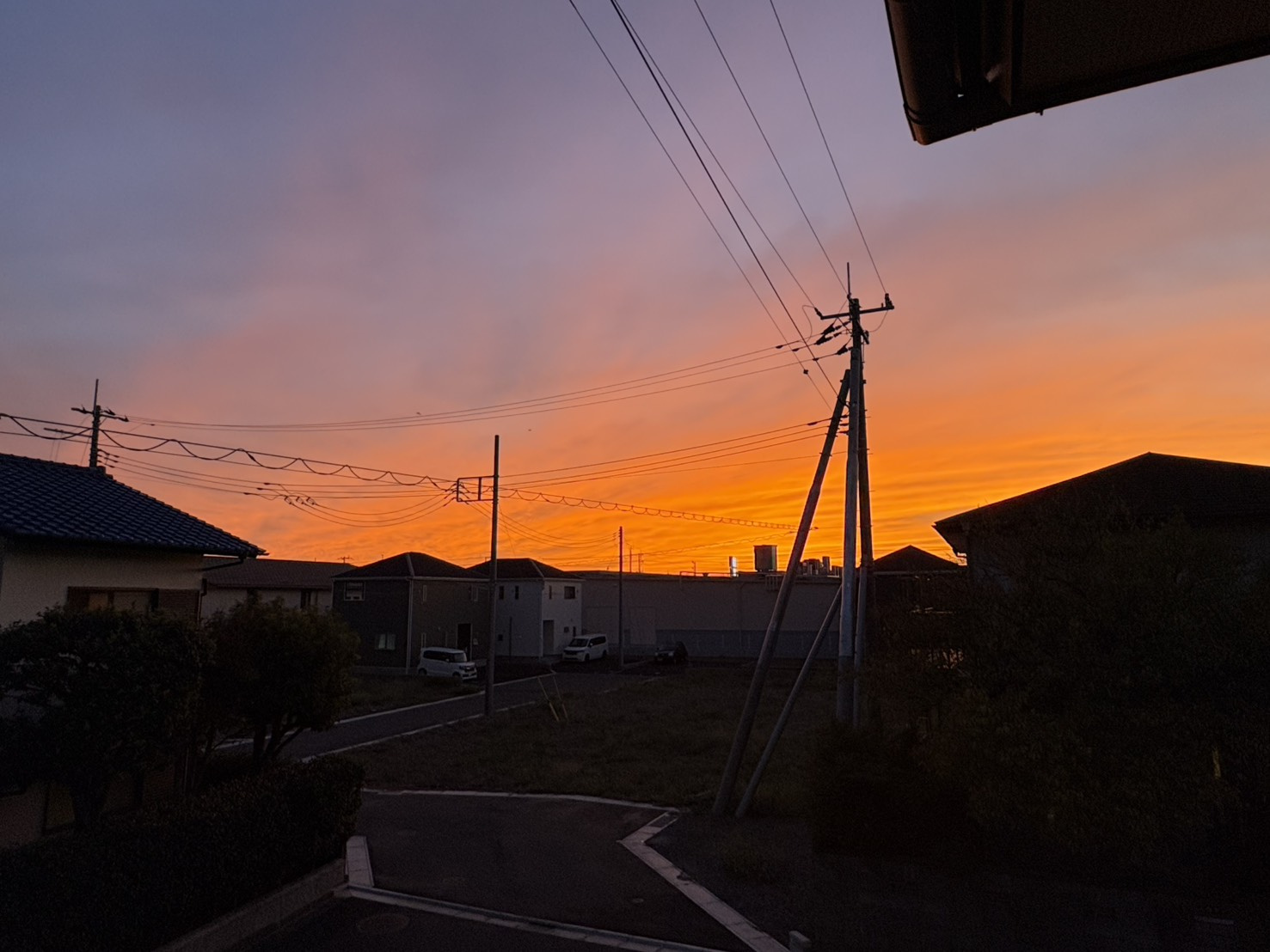 オレンジ色の夕日～の画像