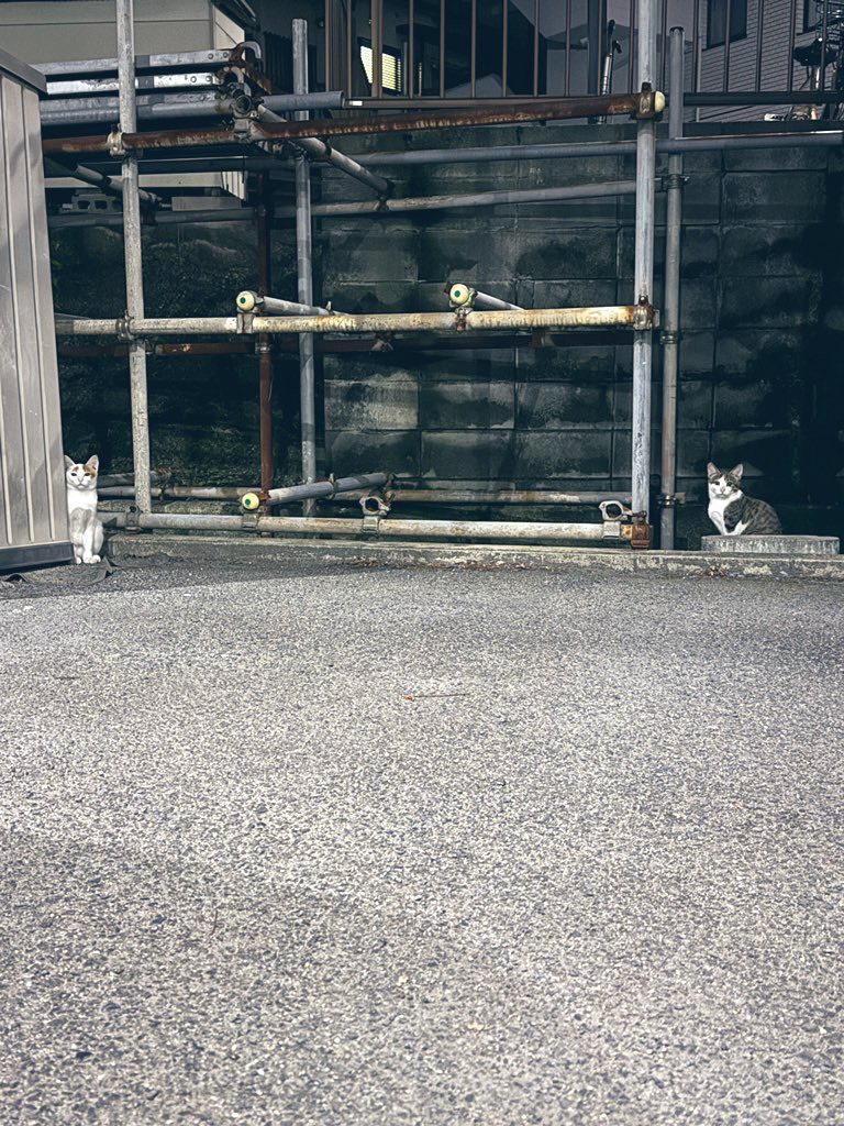 お店の駐車場にての画像