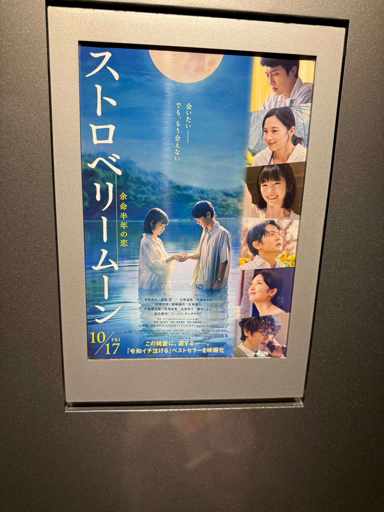 予防接種と試写会の画像