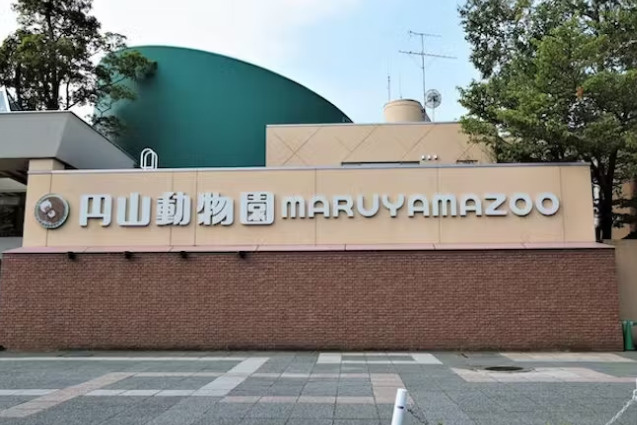 ライオンさん★の画像