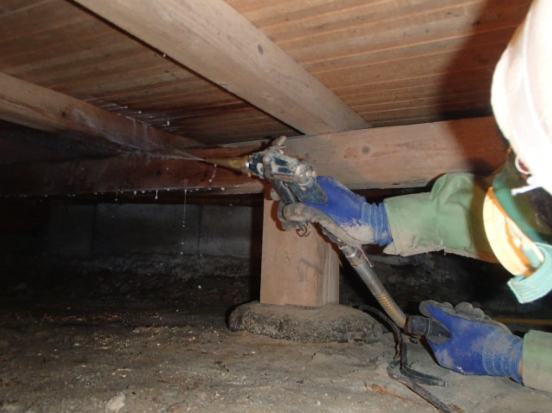 とうとう出ましたの画像