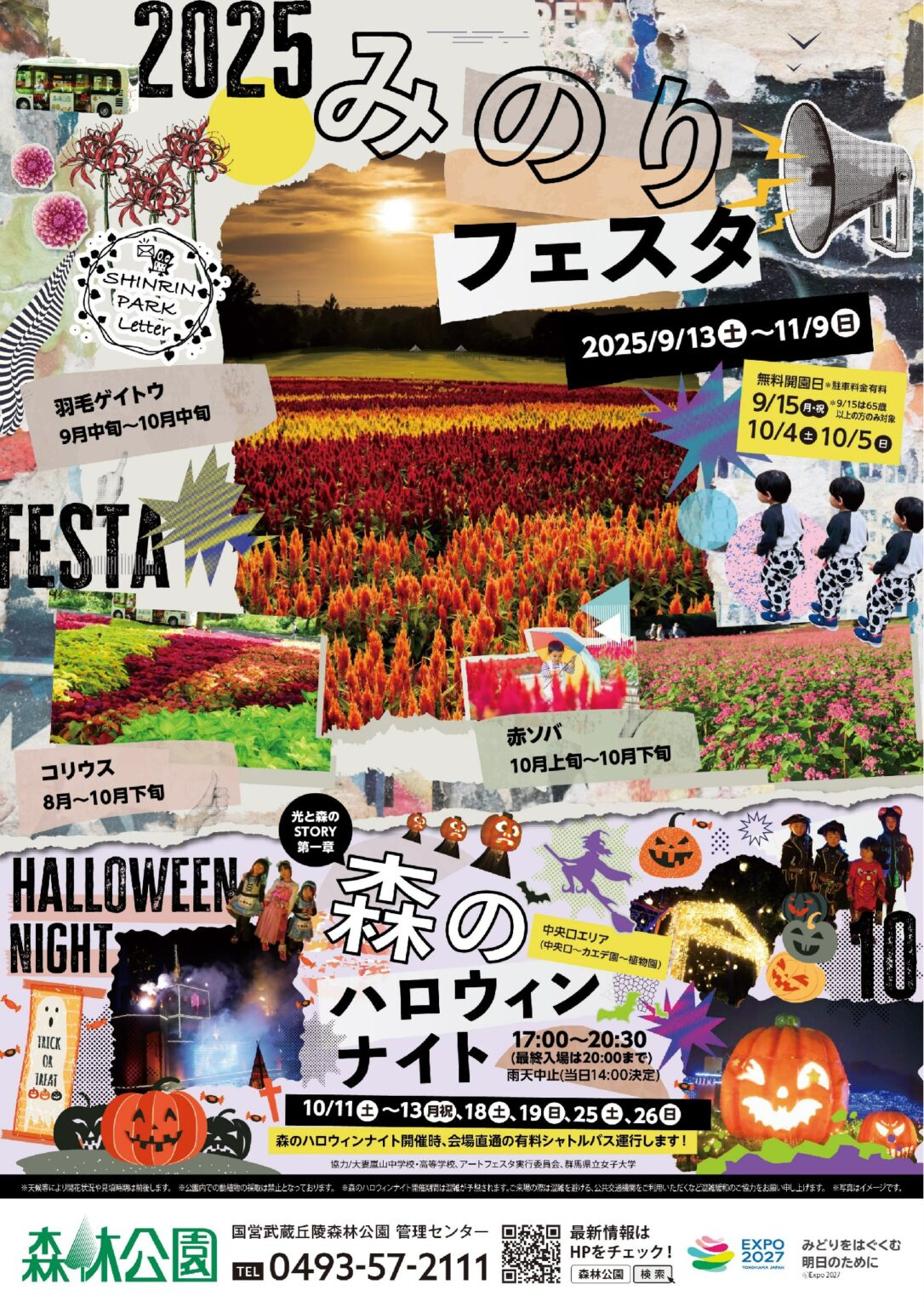 国営武蔵丘陵森林公園のハロウィンナイトは？2025年のイベント詳細やアクセスもおすすめ紹介の画像