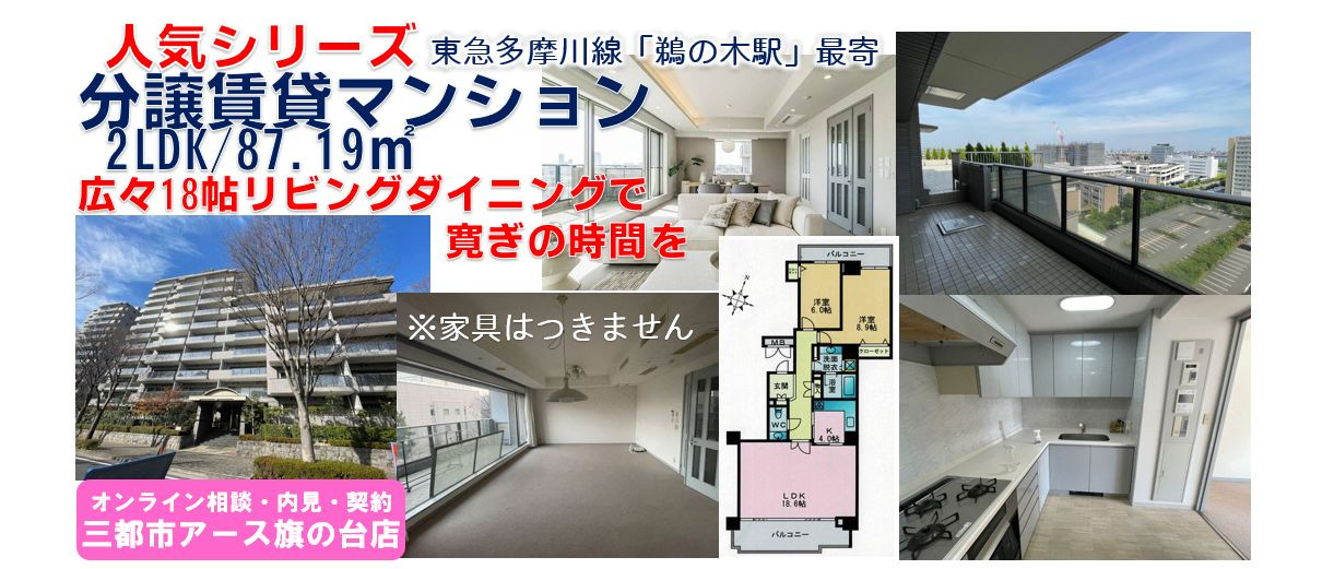 パークハウス多摩川南五番館　2LDK　人気の分譲賃貸マンション