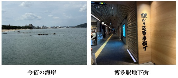 ウォーキングの画像