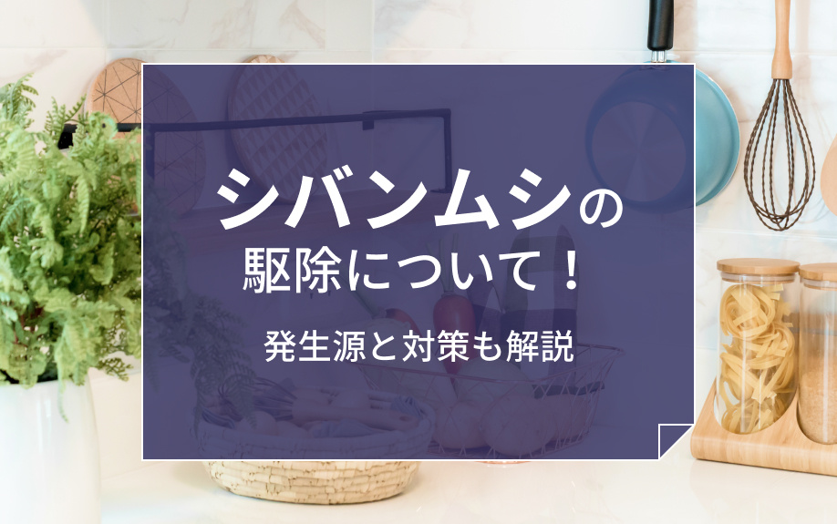 シバンムシの駆除について！発生源と対策も解説の画像