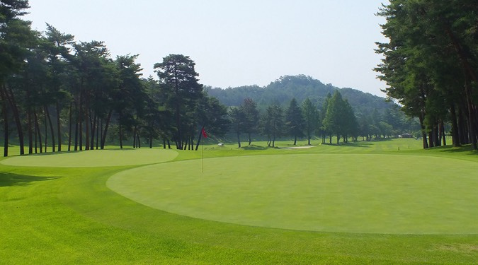 ベスト更新ならず、、の画像