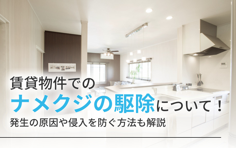 賃貸物件でのナメクジの駆除について！発生の原因や侵入を防ぐ方法も解説の画像