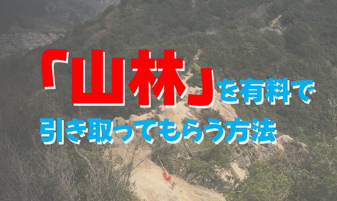 相続した「山林」を有料で引き取ってもらう方法の画像