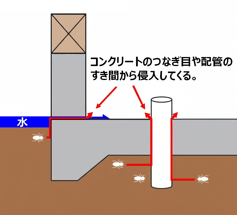基礎がフツーじゃない！「一体打ち」工法でつくる高耐久な家づくり。M様邸工事の画像