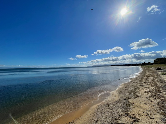 琵琶湖まで徒歩約2分!広々とした約269坪の土地の画像