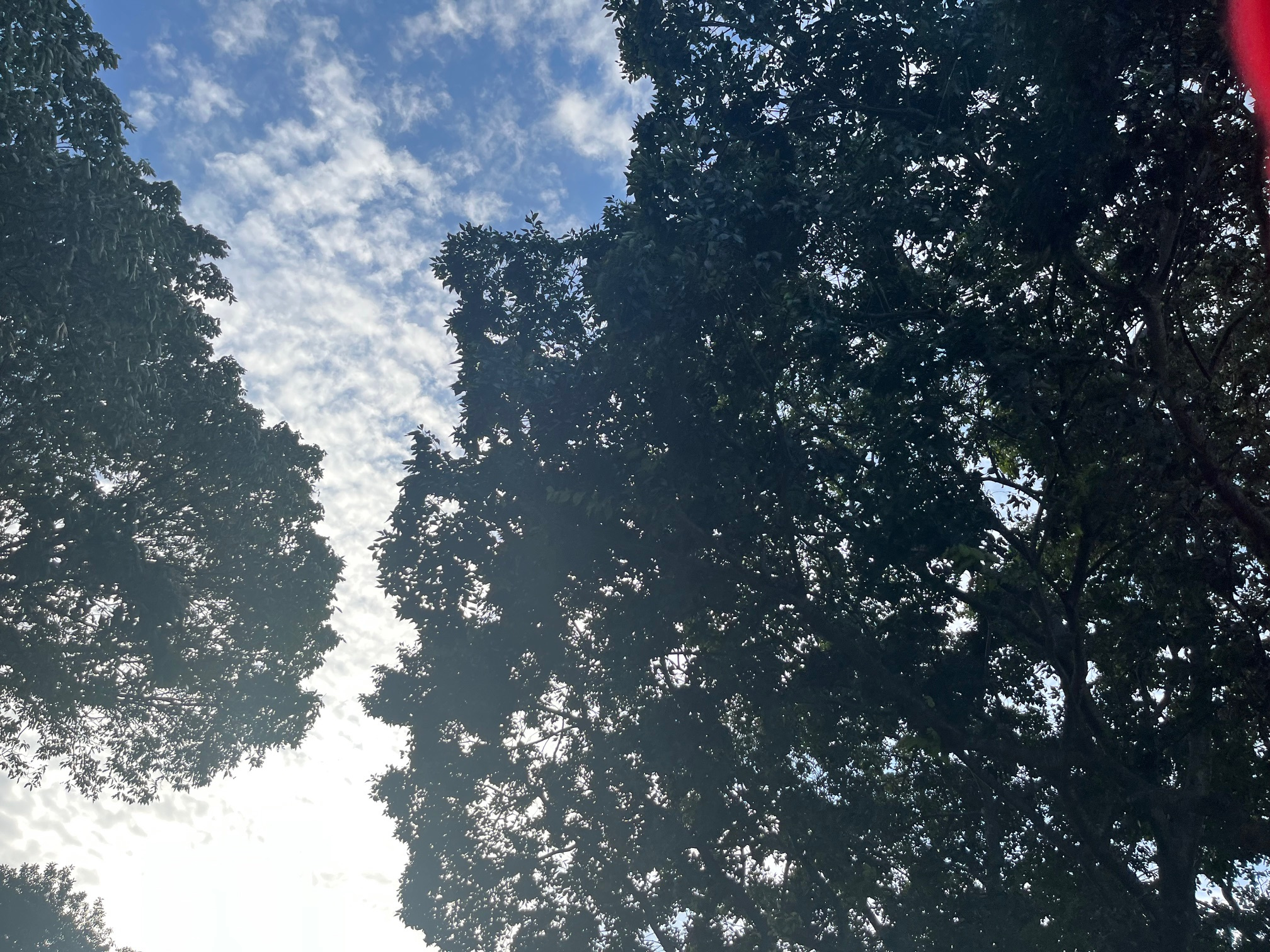 季節の変わり目にの画像