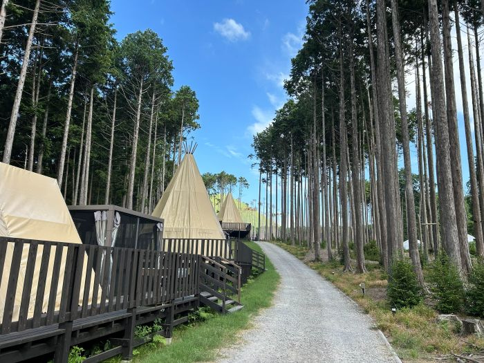 犬と一緒に楽しむグランピング！の画像