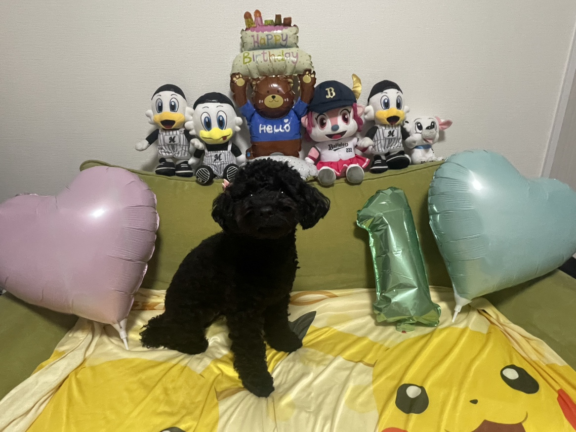 Happy birthday♪の画像