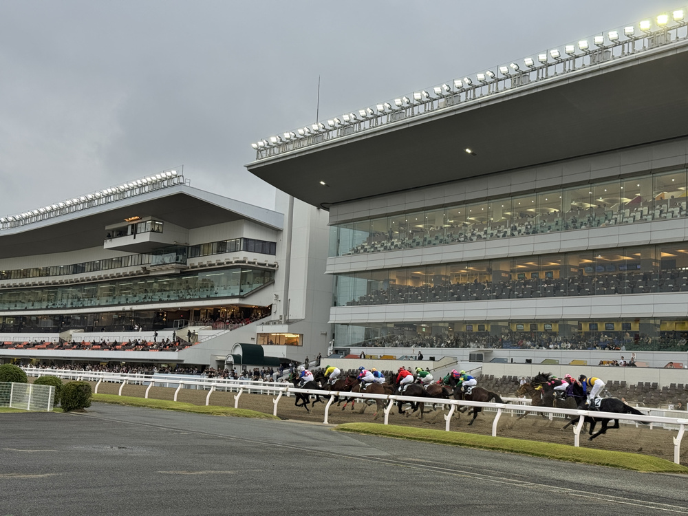 競馬場へ社会科見学の画像