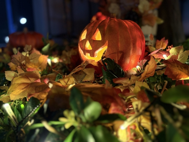 今年のハロウィンのご予定は？大人の楽しみ方をご紹介の画像