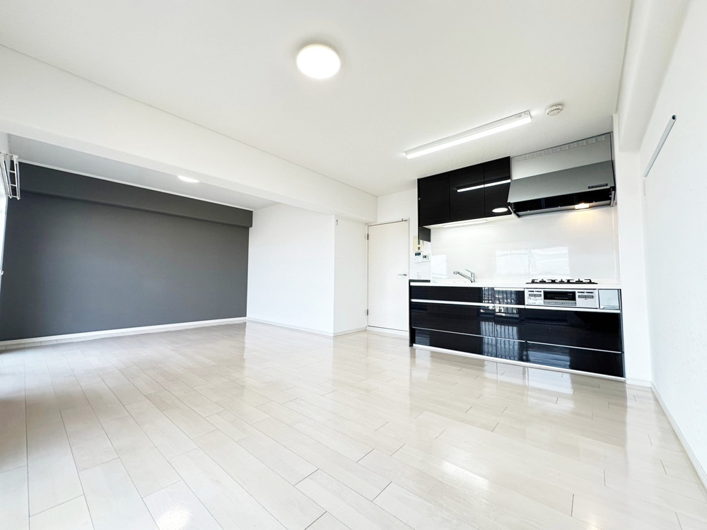 シンプルなモノトーンデザインがかっこいい！鏡面仕上げで明るく清潔感のあるリノベマンション―サンレスポアール　8階―の画像