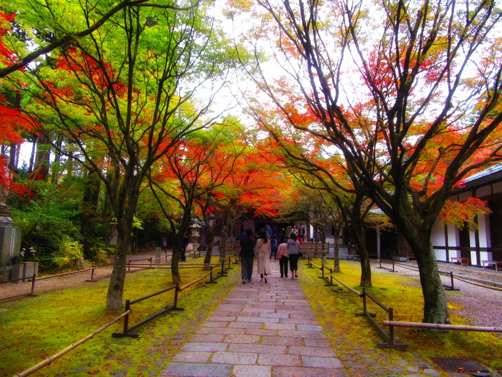 心のふるさと、篠栗町へ — 森と祈りが息づく癒しの旅の画像