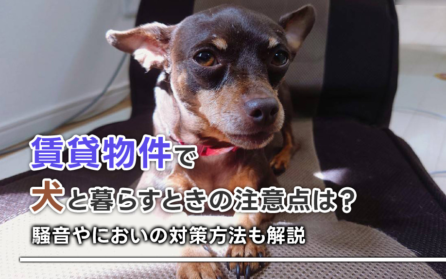 賃貸物件で犬と暮らすときの注意点は？騒音やにおいの対策方法も解説の画像