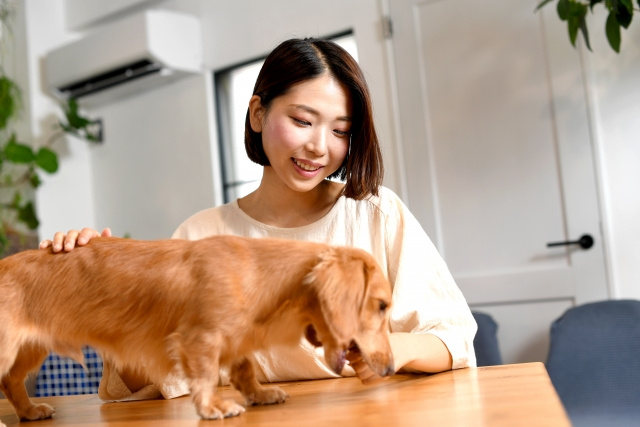 犬を飼っていると発生するにおいの対策
