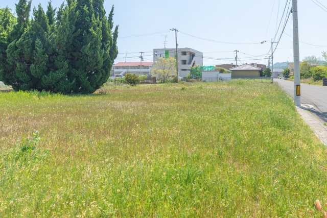 広い土地はなぜ売れにくい？売却の工夫や分筆の活用方法も解説の画像