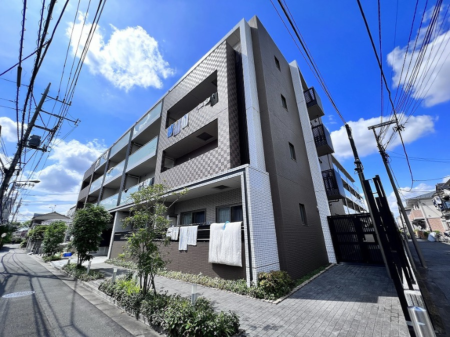 サイムベルナティオの画像