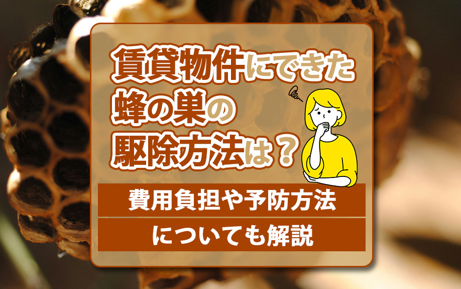 賃貸物件にできた蜂の巣の駆除方法は？費用負担や予防方法についても解説の画像