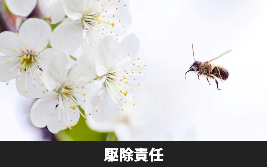 賃貸物件の蜂駆除責任はだれが負う？