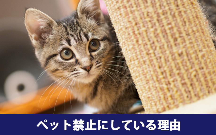 賃貸物件でペット禁止にしている理由