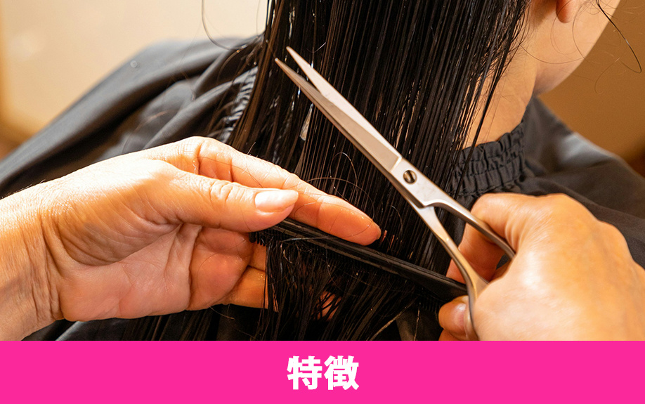 アイム湘南理容美容専門学校の特徴