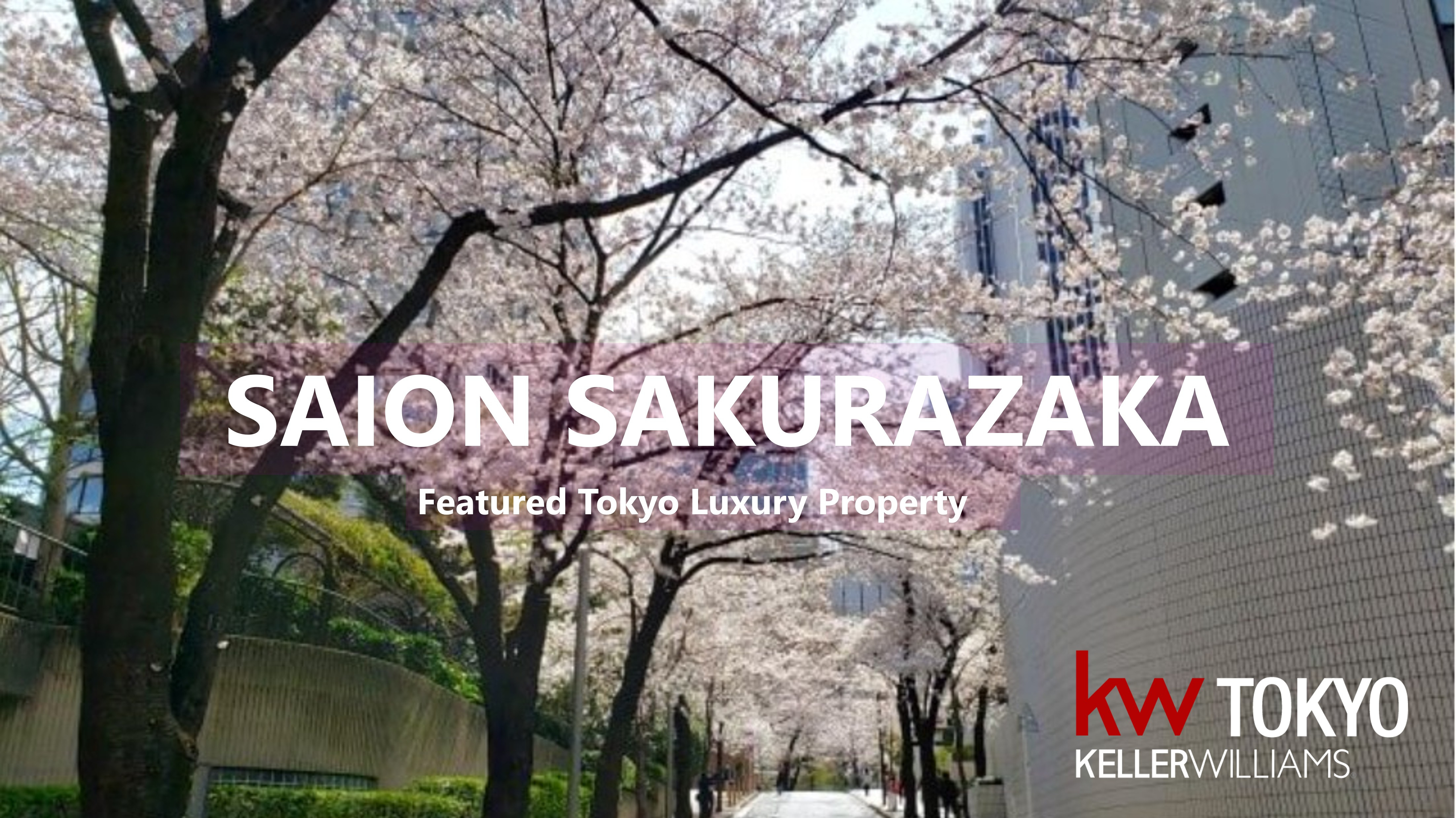 SAION SAKURAZAKA / KWTokyoより注目物件のご紹介の画像