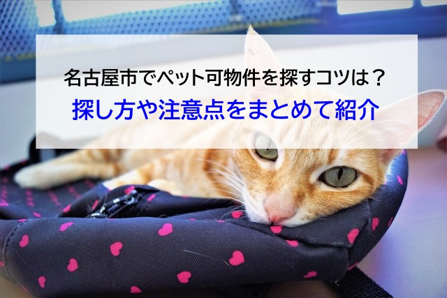 名古屋市でペット可物件を探すコツは？探し方や注意点をまとめて紹介の画像