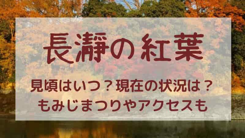 長瀞の紅葉まつりで見頃はいつ？2025ライトアップや穴場アクセスも紹介の画像