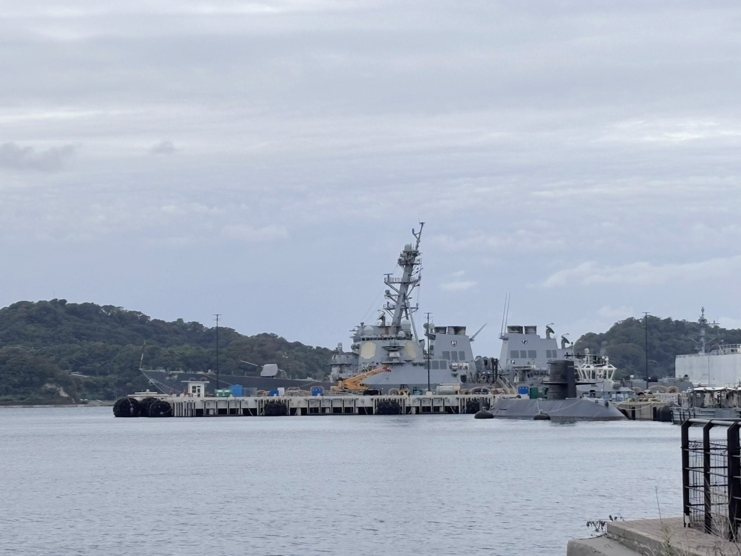 横須賀に何と///の画像