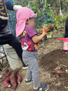 秋の味覚大収穫祭の画像