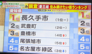 住み続けたい街ランキング・・・武豊町の画像