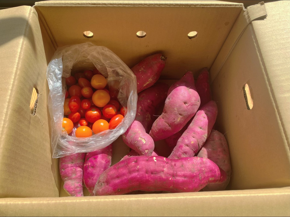 【お客様から自家製のお野菜をいただきました✨️】の画像