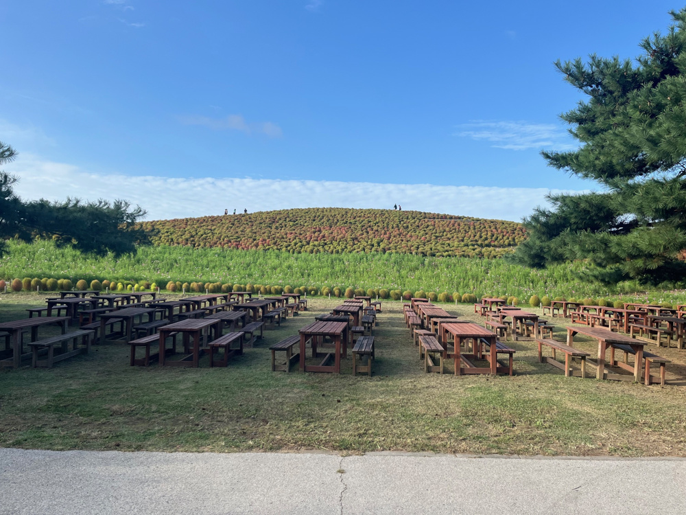 寒さが増してきましたね。の画像