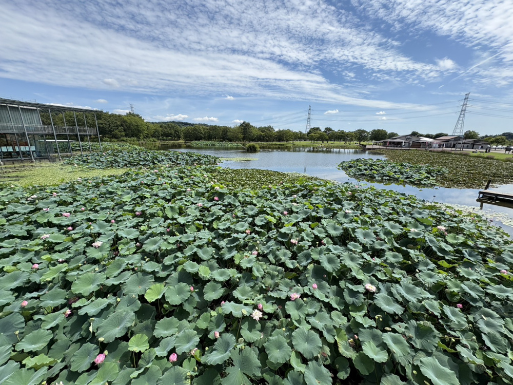 旅行☆彡③の画像