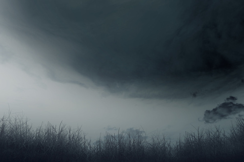 Vol.168 不動産売却一括査定サイトの闇の画像