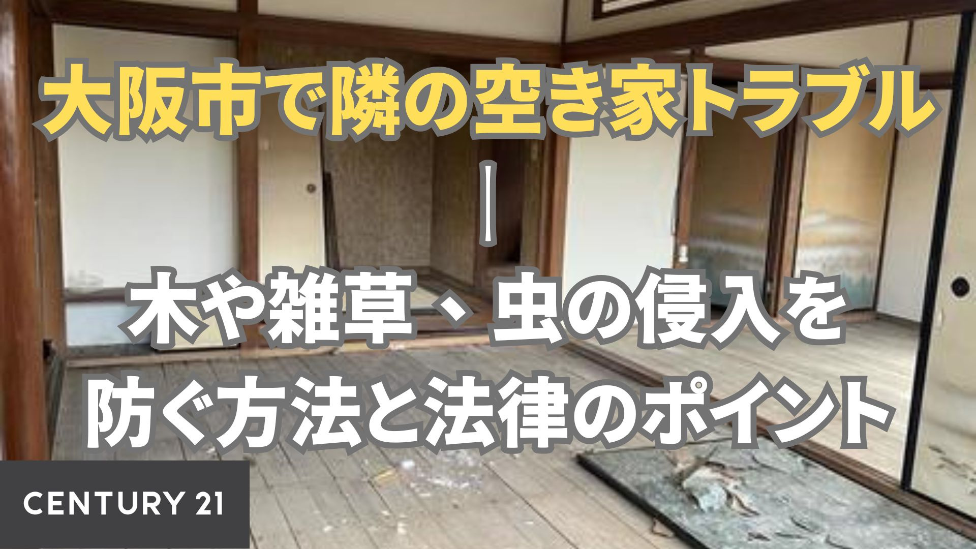 大阪市で隣の空き家トラブル｜木や雑草、虫の侵入を防ぐ方法と法律のポイント