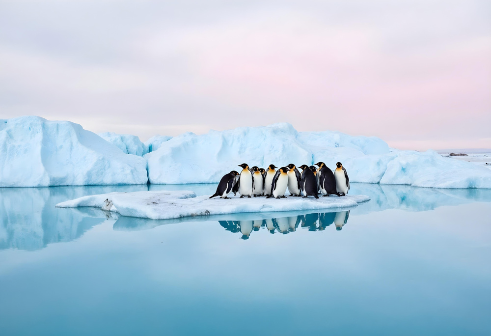 Vol.178  遠方の不動産を買う・売るとき、どこに頼むべき？の画像