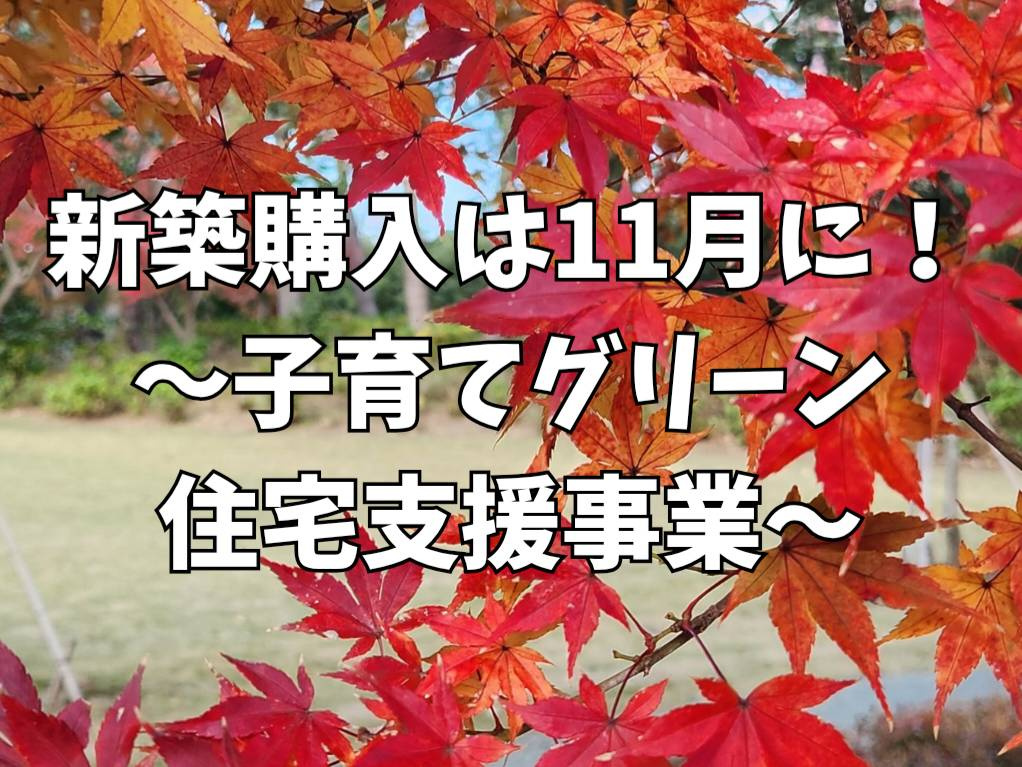 補助金最大100万円！11月中に動けばまだ間に合う「子育てグリーン住宅支援事業」の画像